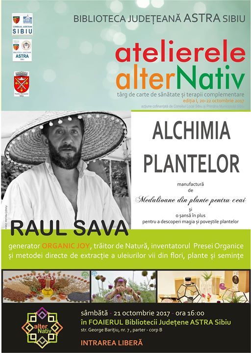 Raul Sava - Atelierele Alternativ at bjastrasibiu