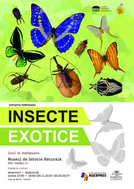Insecte exotice