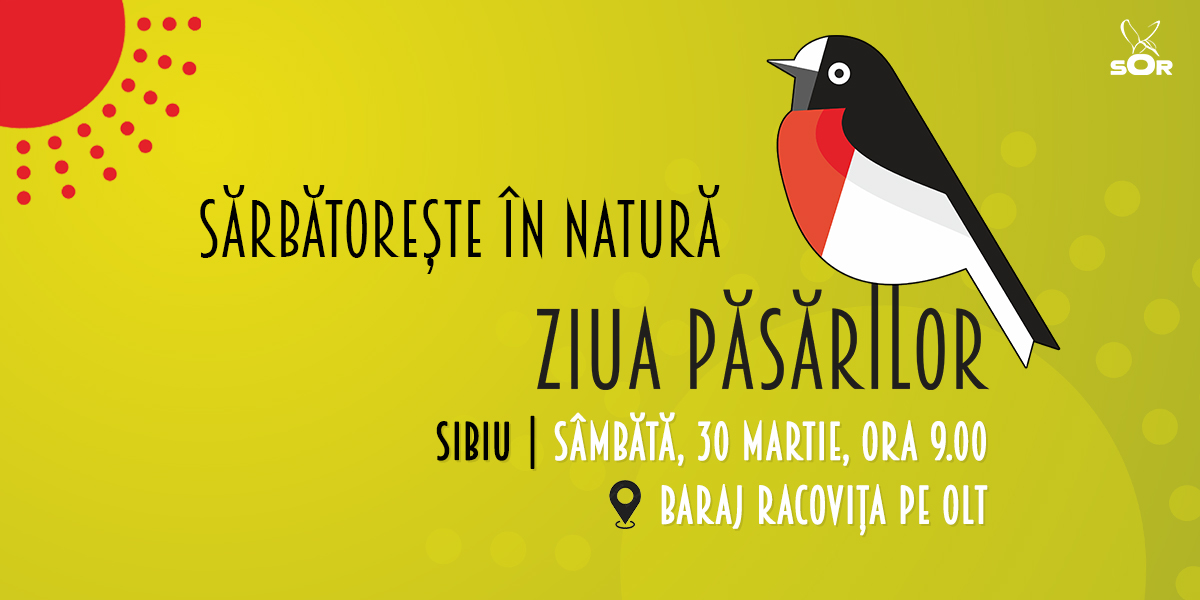 ZIUA PĂSĂRILOR în natură - Sibiu
