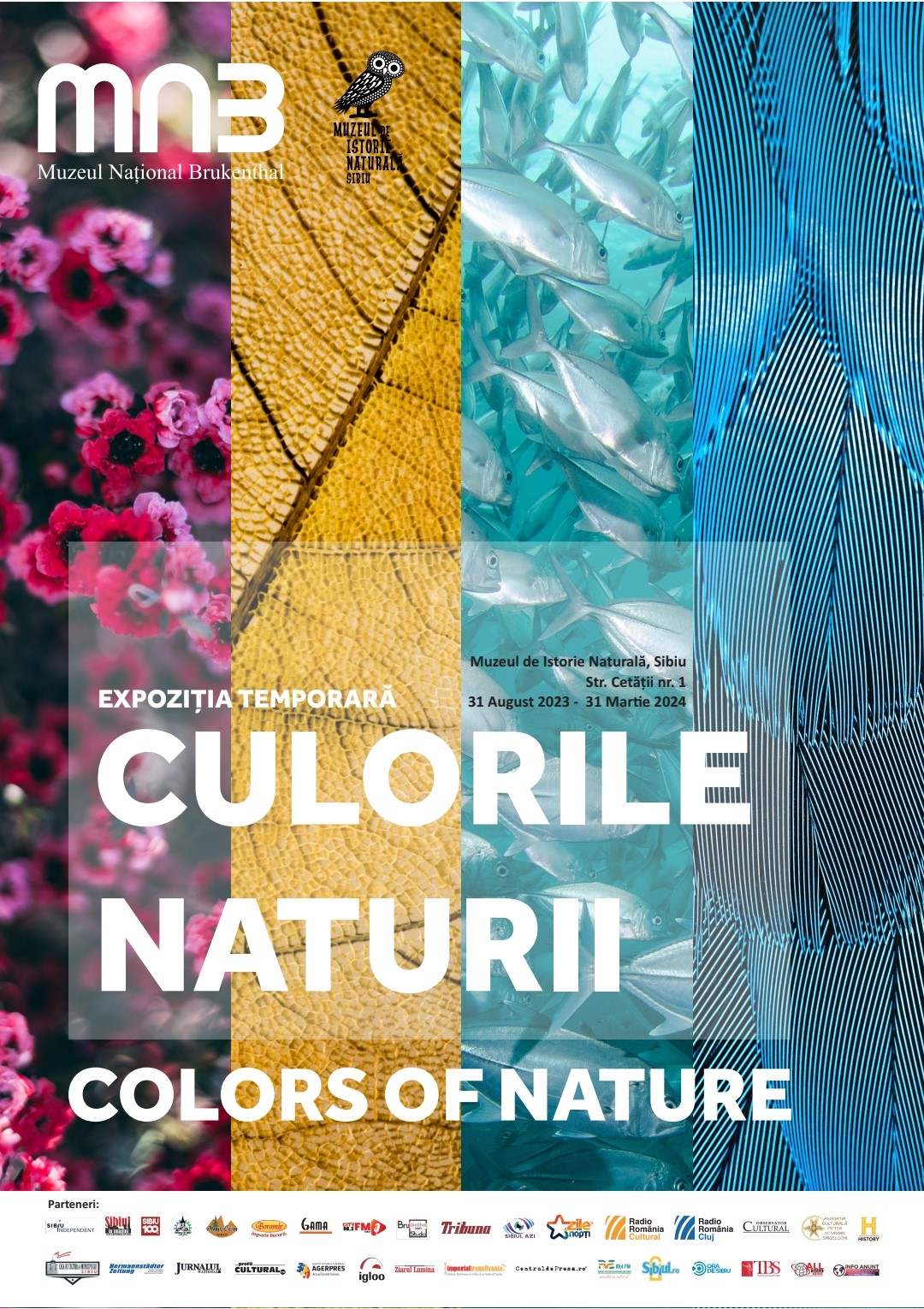 Brukenthal: Expozitia Culorile în natură