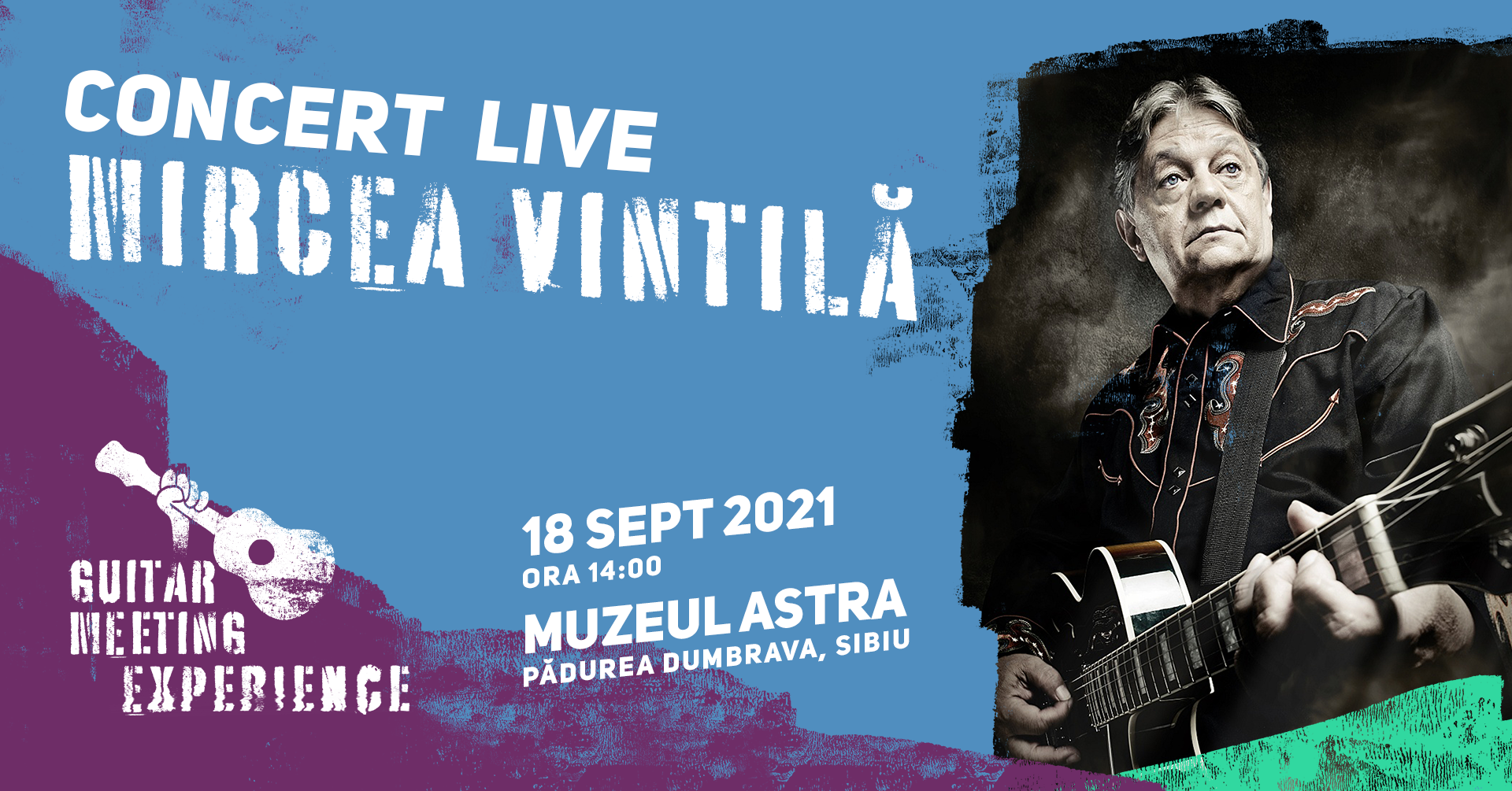 Concert Mircea Vintilă