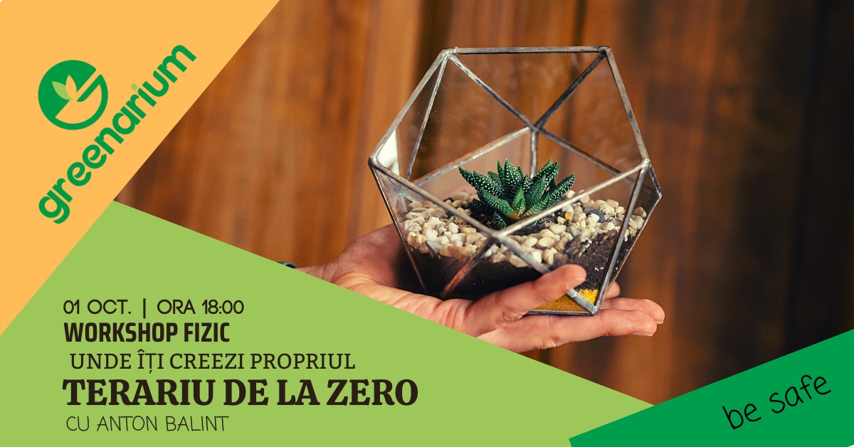 Workshop de relaxare - Creează un terariu cu plante de la ZERO