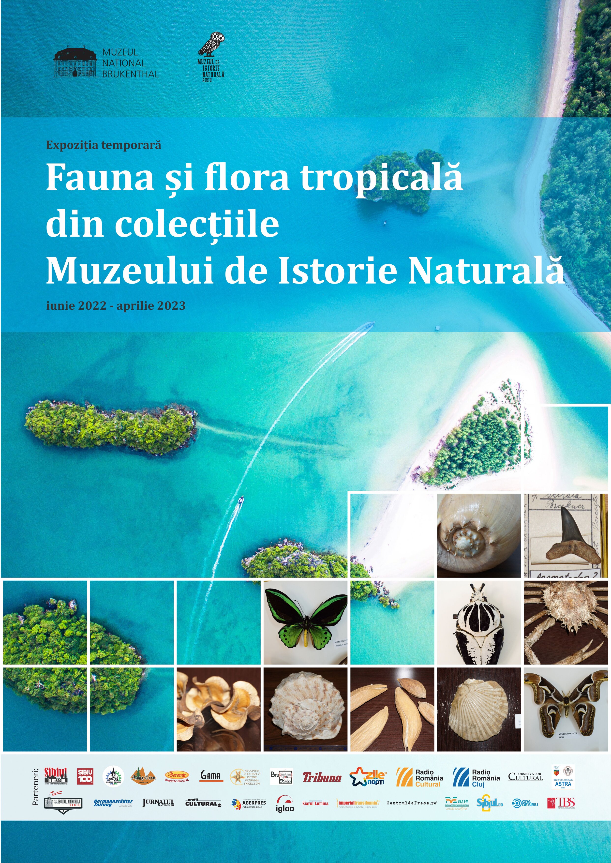 Fauna si flora tropicală din colecțiile muzeului  