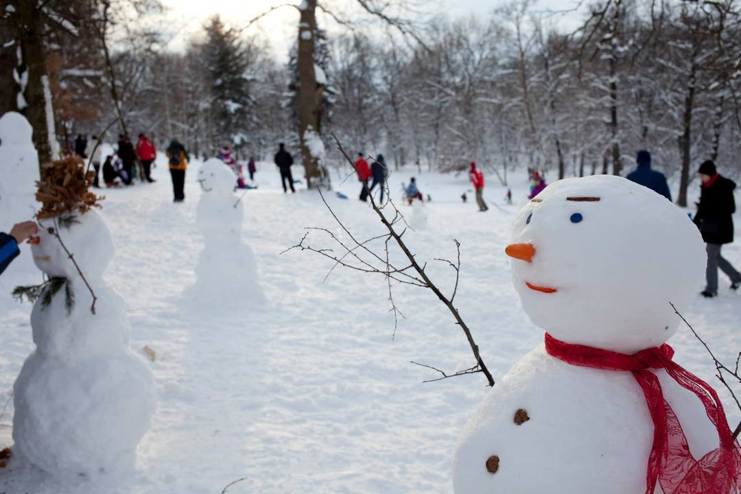 100 de oameni de zăpadă în Parcul Sub Arini - ediția 2018 