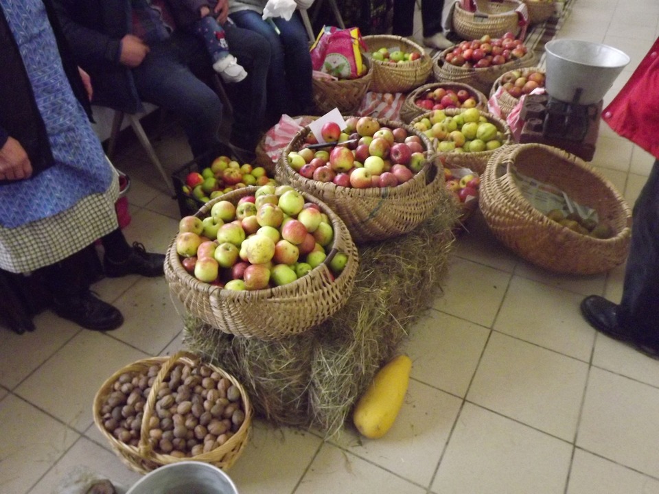 Târg și degustare de mere, din soiuri vechi, locale