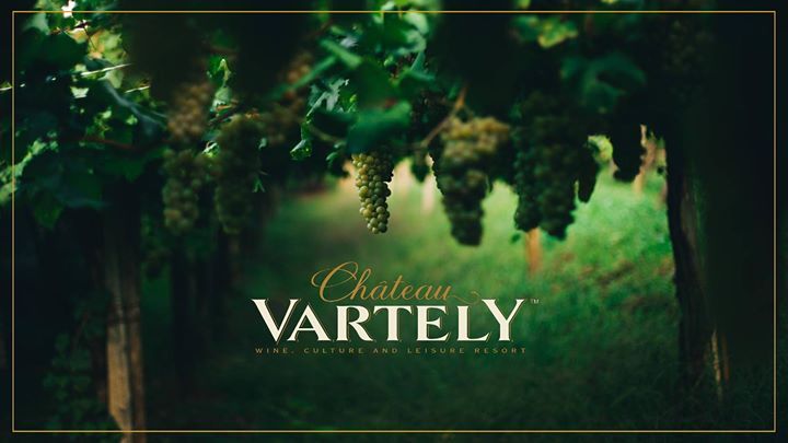 Degustare vinuri Crama Chateau Vartely