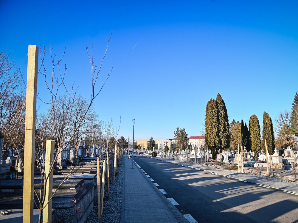 Se pregătesc noi investiții în Cimitirul Municipal Sibiu 