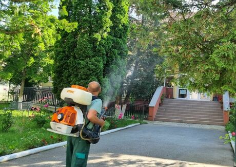 O nouă dezinsecție împotriva țânțarilor pe domeniul public al municipiului