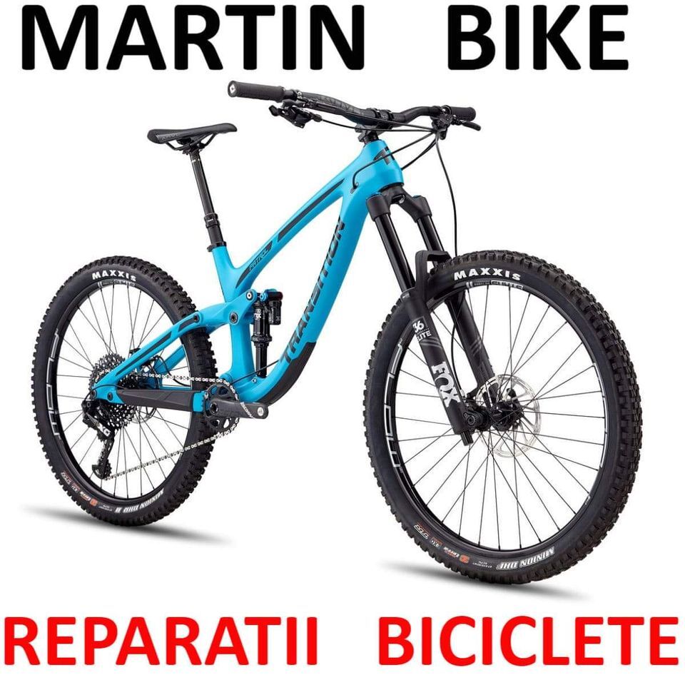 Martin Bike