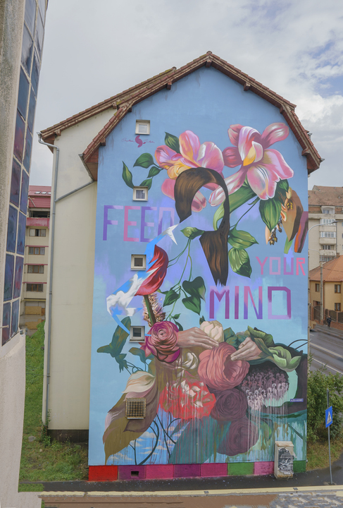 Street Art Spot: Bloc ANL, Sos. Alba Iulia, nr. 52B
