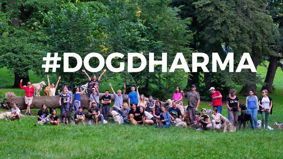 Dogdharma - Reabilitare și dresaj Canin