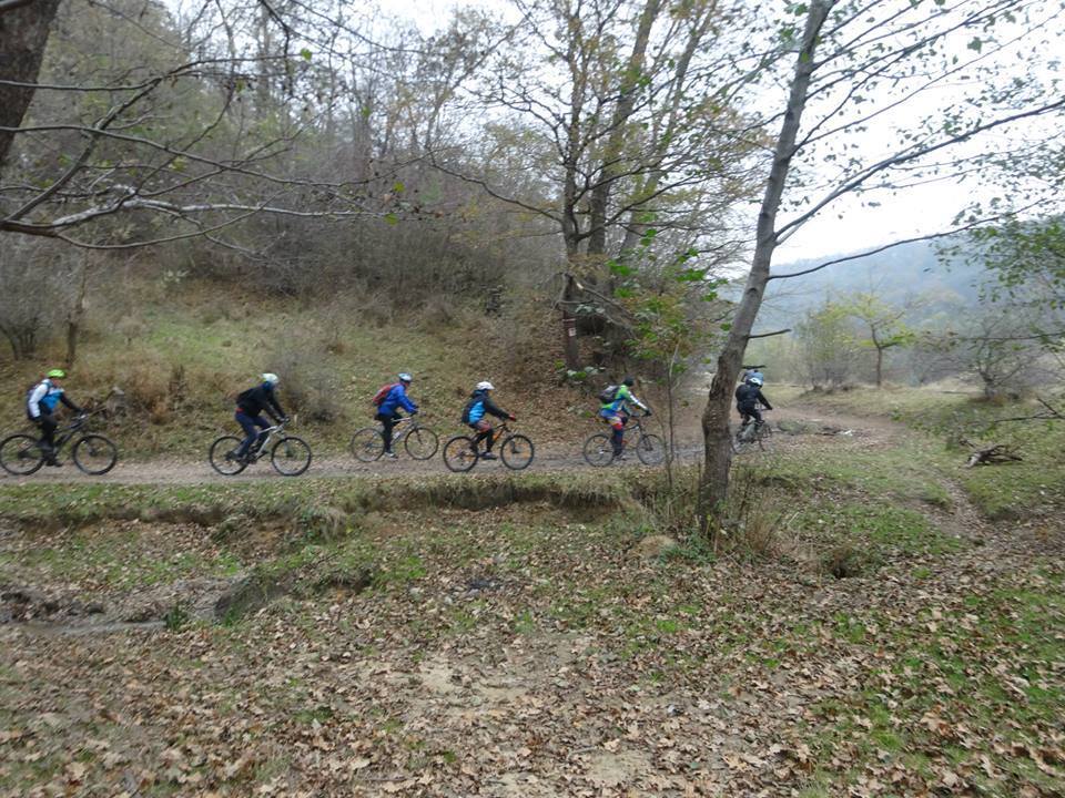 Bycicle Tour Mocanita - Hartibaciului Valley 