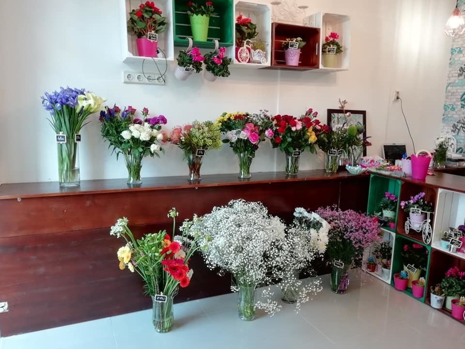 Little Daisy Flower Shop